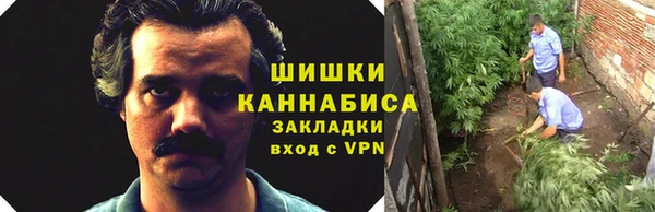 шишки Снежинск