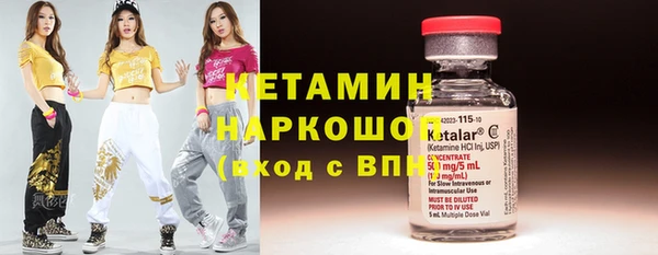 ГАЛЛЮЦИНОГЕННЫЕ ГРИБЫ Горно-Алтайск
