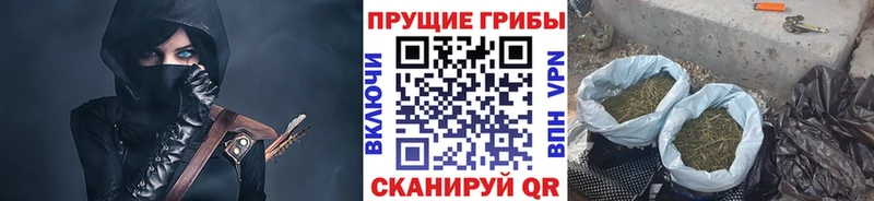 Псилоцибиновые грибы Cubensis  ссылка на мегу рабочий сайт  Зеленокумск 